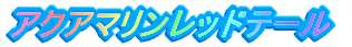 �A�N�A�}�������b�h�e�[��